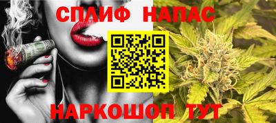 дмт Кинель