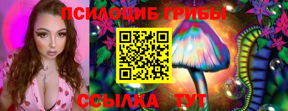 Галлюциногенные грибы Psilocybine cubensis Армавир